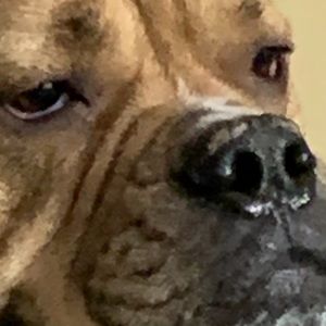 Meet your Posher, Michael